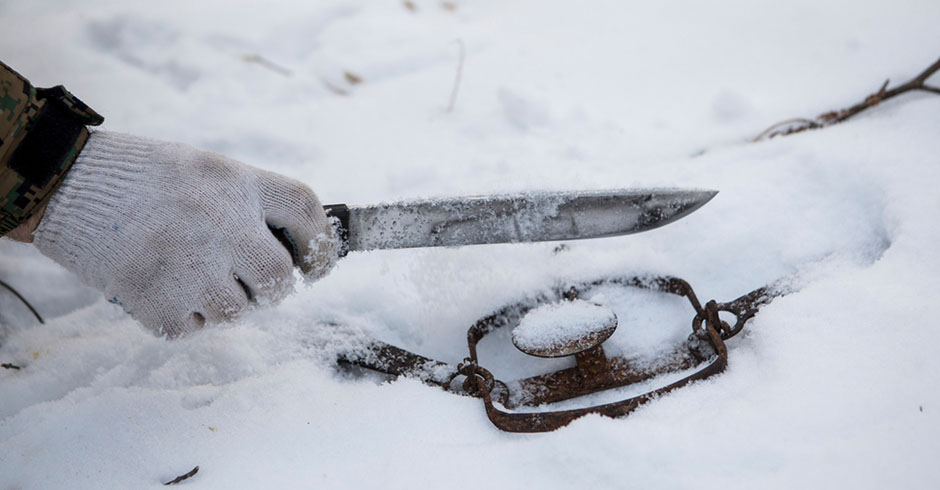 close up image of face and paw